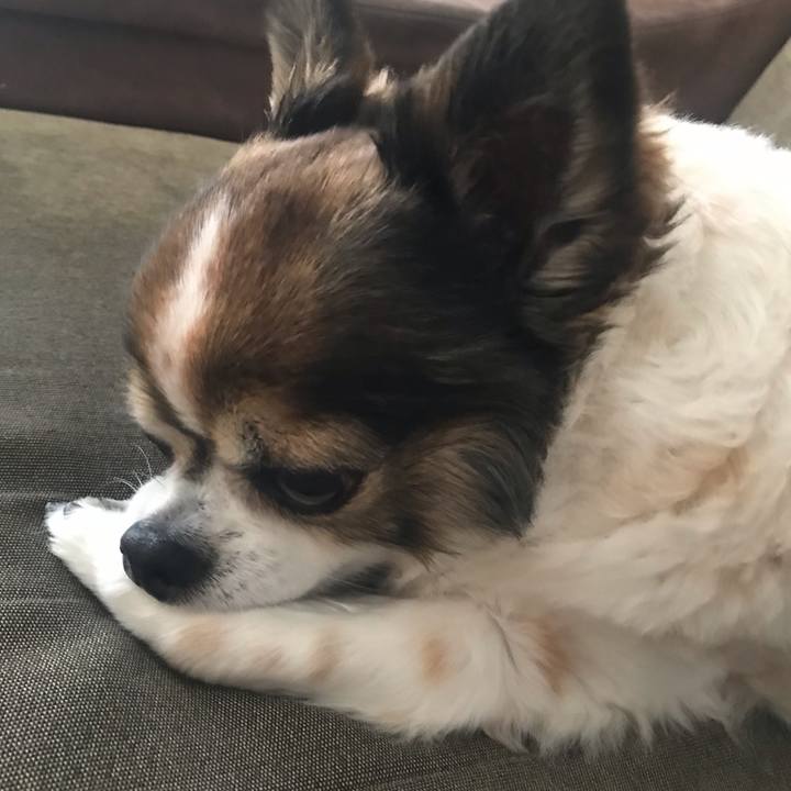 B36a7fc7 ba64 4f1d b8d5 a16cc54dea76 1714104491417