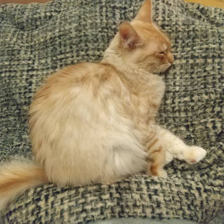 B36a7ff8 7b2f 4099 b335 e64602bb2bdf 1612010352290