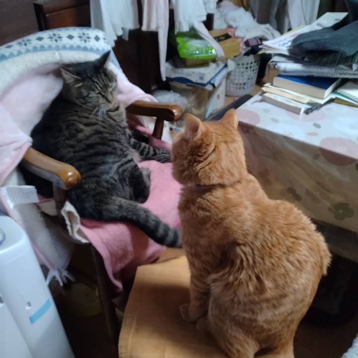 B36a80ae 565a 4597 9da2 376310a98f4d 1673250045736