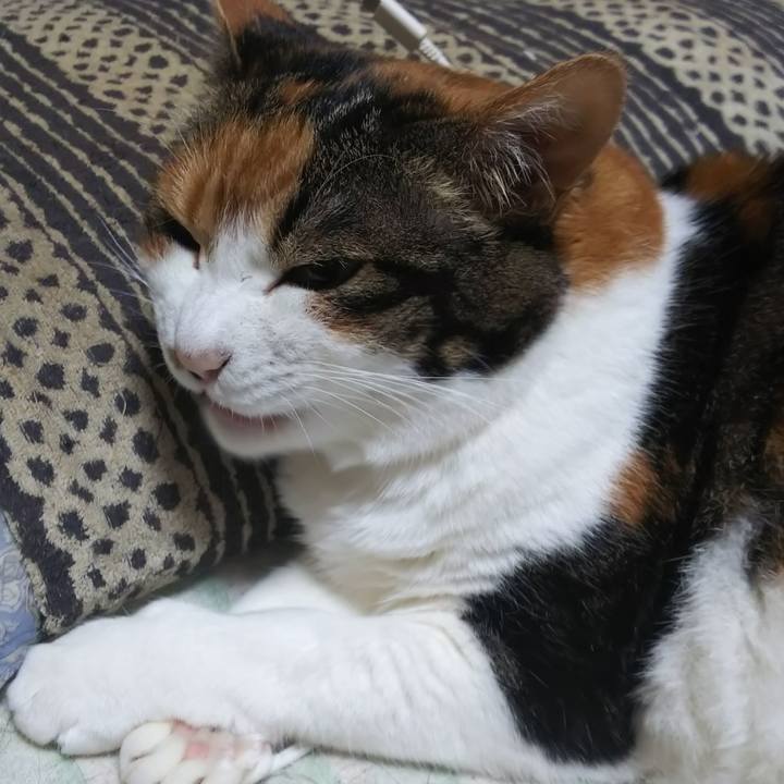 B36a9f1c 54f7 4198 b107 42e4359ec674 1564005096372