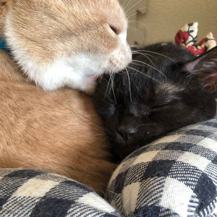 B36ad4a9 7196 4a86 8c86 dee4c4ccccf0 1578100175323