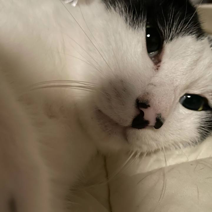 B36af143 7f01 4dba a81c eb84babfe52a 1630174365450