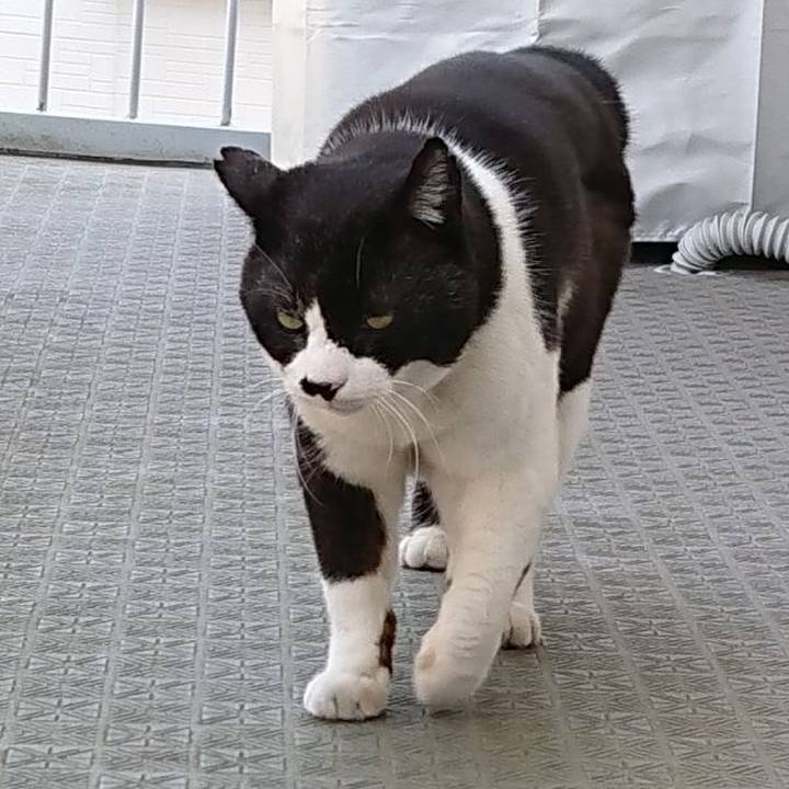 B36b4dbe 4f56 4425 8f41 c227905037ad 1649567713004