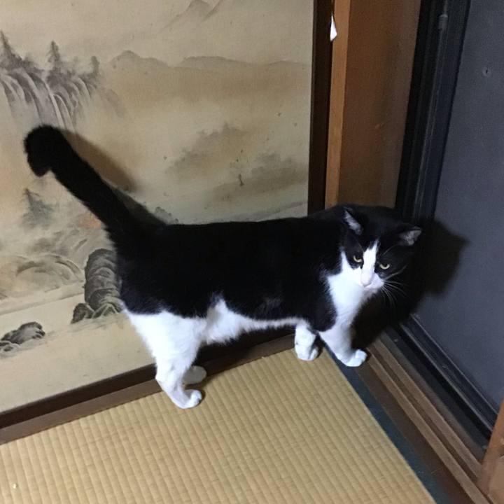 B36bbca5 b333 45ee b2d6 f9eb568d50f1 1754999242584