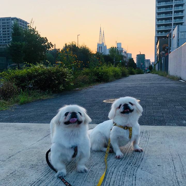 B36bd470 c64d 481c 9991 a3051fc4cf64 1598392161032