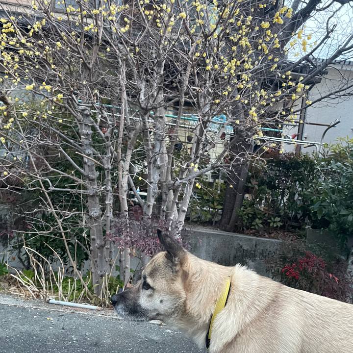 B36c006c 87d5 4c0a be73 e177249fad68 1644491264634