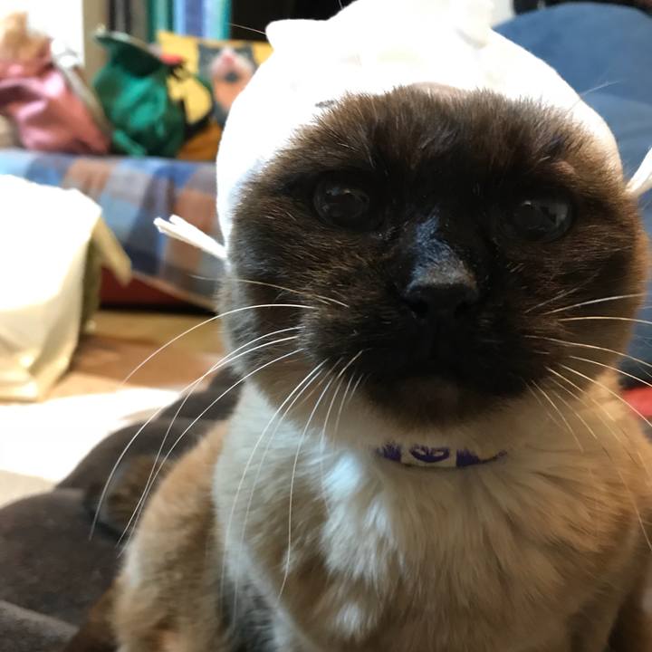 B36c1a15 895c 4dcb a0d5 8b061ea90637 1525584952800