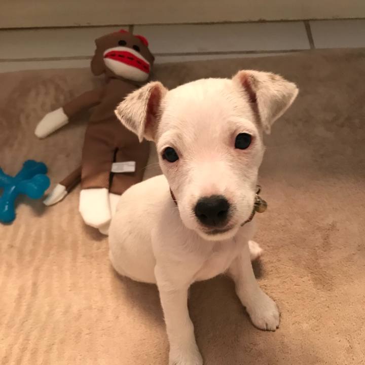 B36c238e 9780 4d88 b5fa 1c065983b3e0 1531393359278