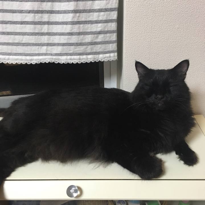 B36c373b d09d 4870 8b3e e421f7c1b176 1564582734326