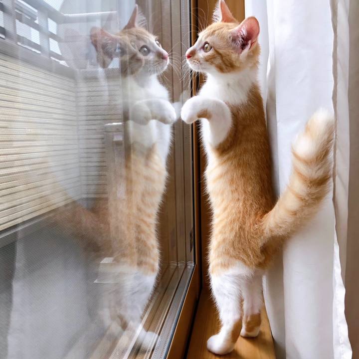 B36c4314 d1a5 4cc6 87eb 0f3e6e863109 1767351937740