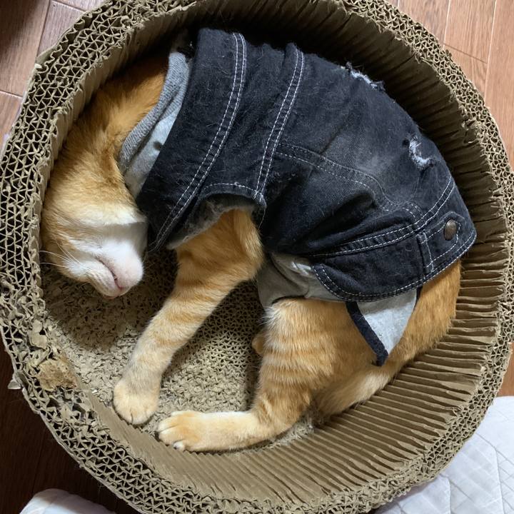 B36c5e20 485b 463d 873d 2c50a129c327 1652708255287