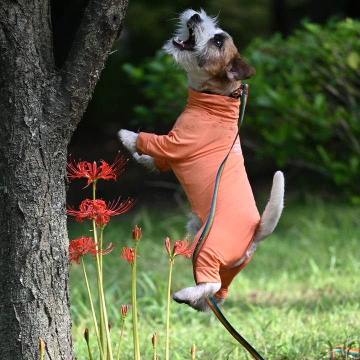 B36c651c 093c 4a7f 86b3 cb8b454a322a 1759101804188