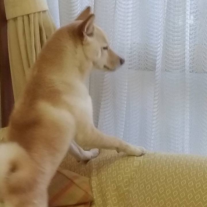 B36c8384 82ca 448a b9ac bafac1185251 1545615031947