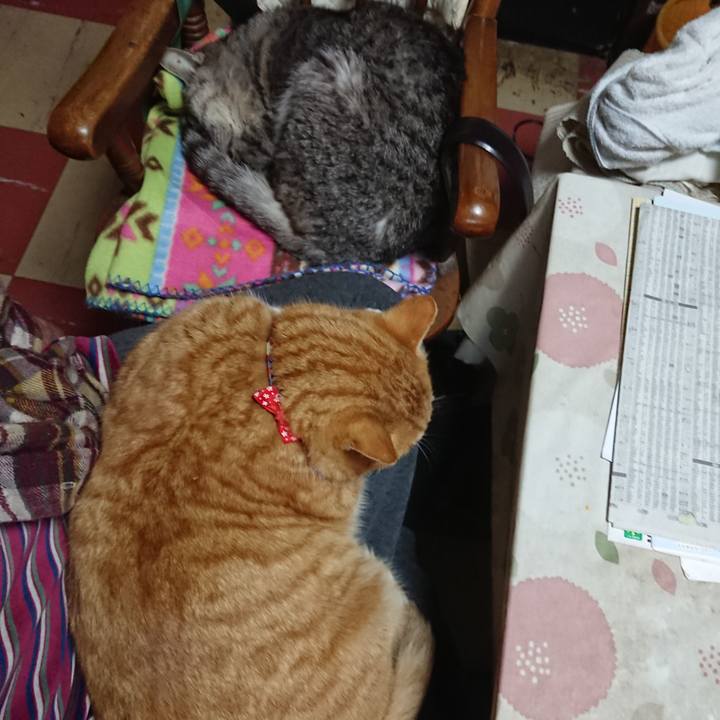 B36cd7cf 0270 41e6 8bde 96f896c31512 1577577445807