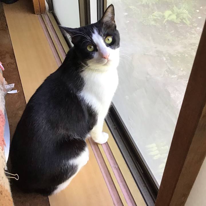 B36cdecb 8238 4288 ba7f cabd86ede232 1681098751074