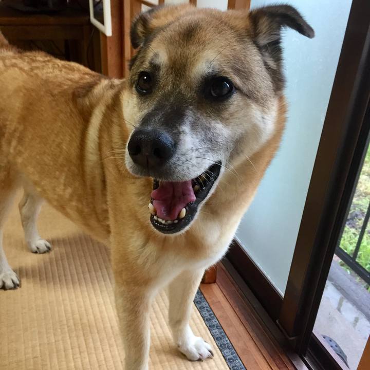 B36d094f 0c91 46c3 b745 ae6ea953f2c4 1561101973698