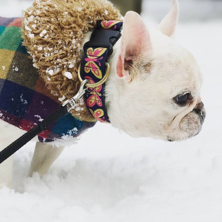 B36d2c34 94df 4b42 aa07 3d9fba98fea4 1545628127503