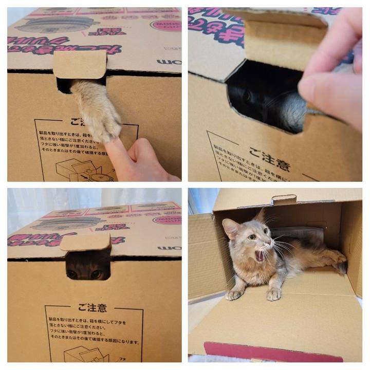 B36d3cec 489f 4bd3 b0e3 ed535aa0a48e 1640903494173