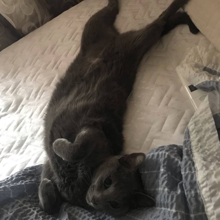 B36d72ba fc26 4cb4 b305 42045daae310 1564552480983