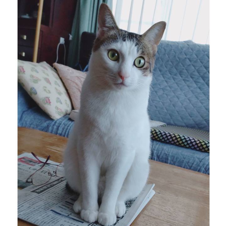 B36d7314 8f99 4449 b796 13ecbf95d4f9 1672373391528