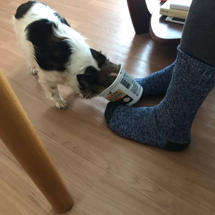 B36d78a5 20b5 429d bc82 6b8959c22ab8 1552787221634