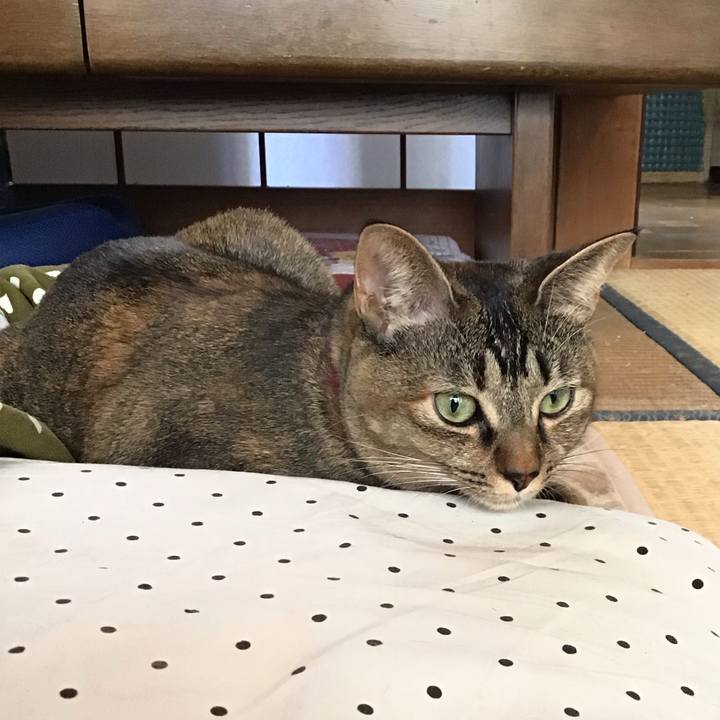 B36d88fe 33ff 4e12 a737 5ed37b61c2ef 1606523887252