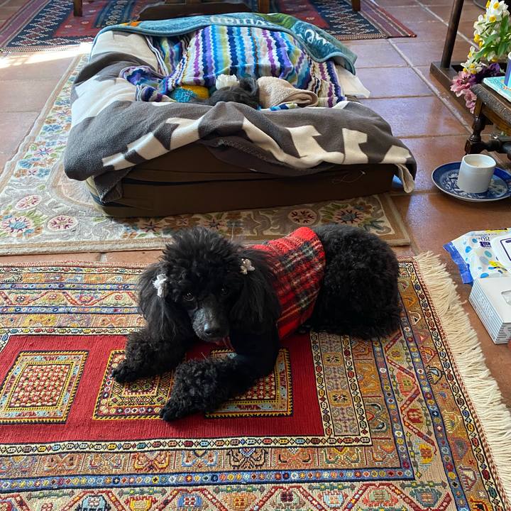 B36db61a b911 4679 82bf b29face123f3 1614047094972