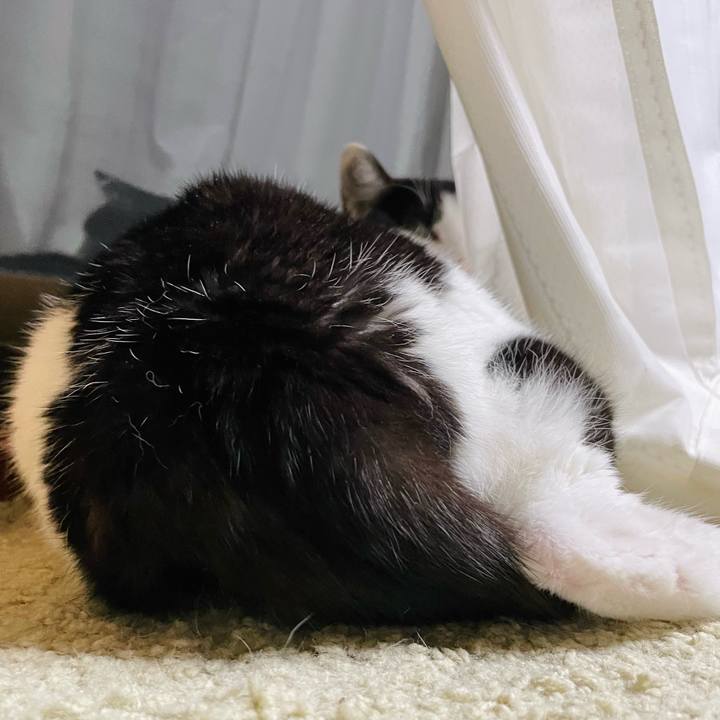 B36df1a7 7730 45e4 bb4d 2584703df937 1638152802702