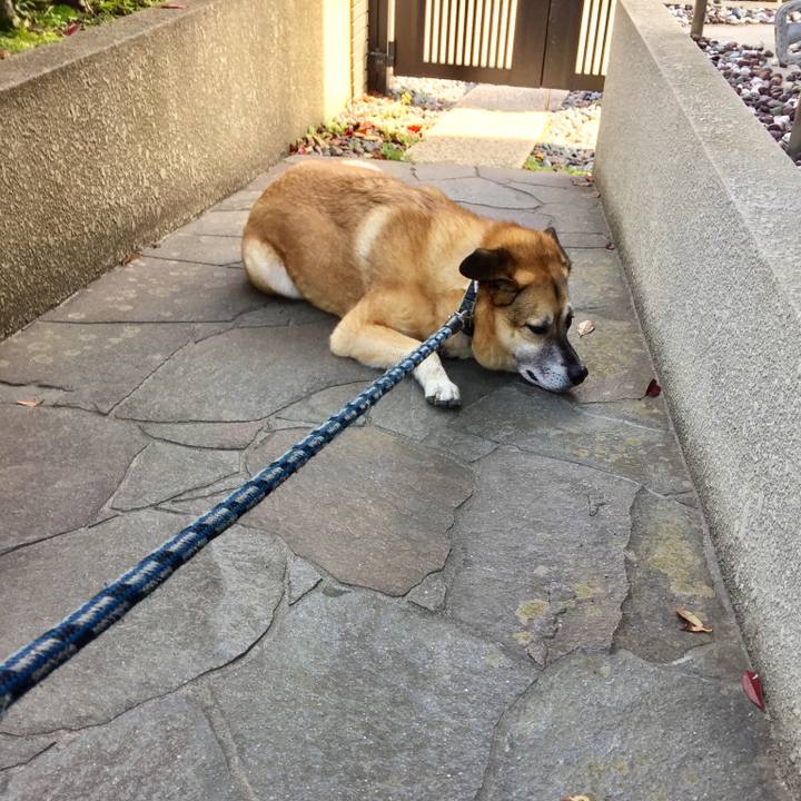 B36e0947 3220 47ad bb5d 30d6c0aba71b 1521898744469