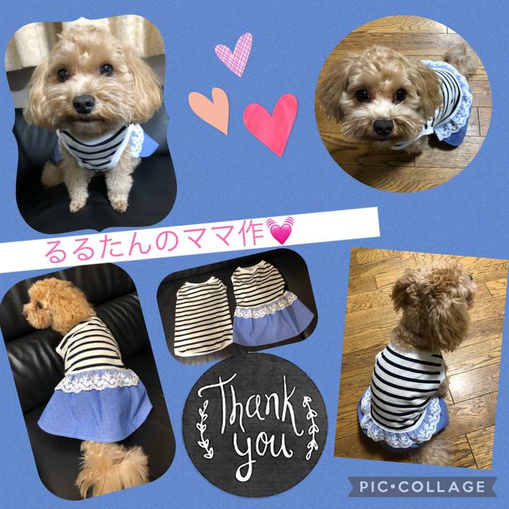 B36eb2aa 374e 499a aa50 369e2a31ee44 1629299577910