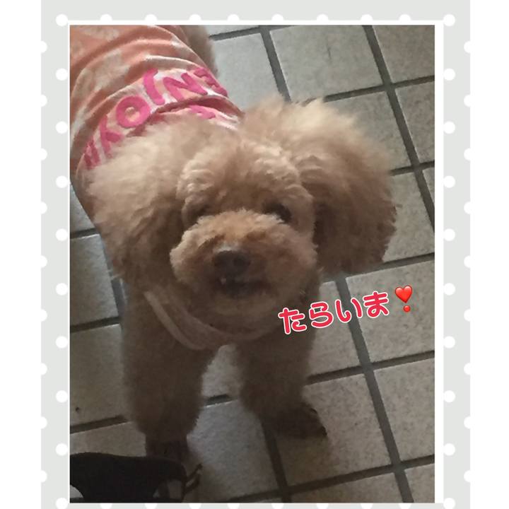 B36ec9b0 bcfe 401b b707 1534edd53ad8 1527378210252