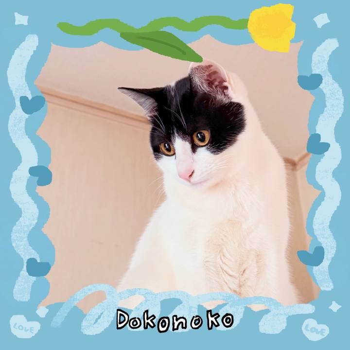 B36ed827 f297 4c29 b4c8 95d2863e23a6 1771985043143