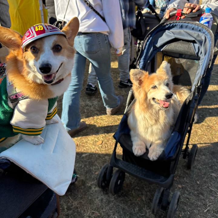 B36eeafb d282 4a3e a0b8 4882473f1c5a 1765089506546