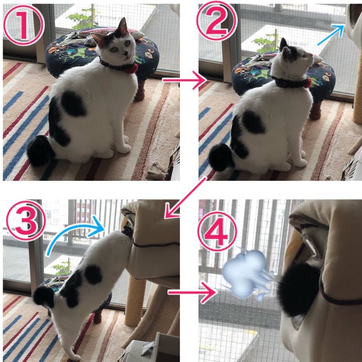 B36f375c 8c50 417c 8d62 fbdb20f5866d 1556721081236