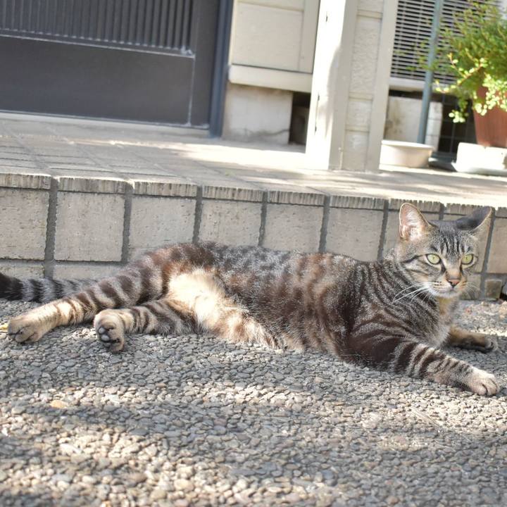 B36f4607 4af0 44e4 85af 616bffbb637e 1529049352598