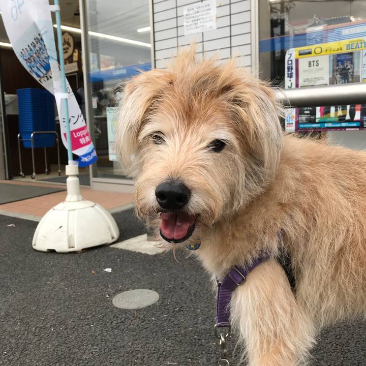 B36f5ff6 1699 4b9d 80a8 584f87f9b3b8 1569654885227