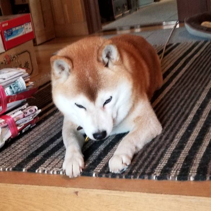 B36f71e4 ccca 43f9 93a8 d9cfbeb415ed 1638759604939