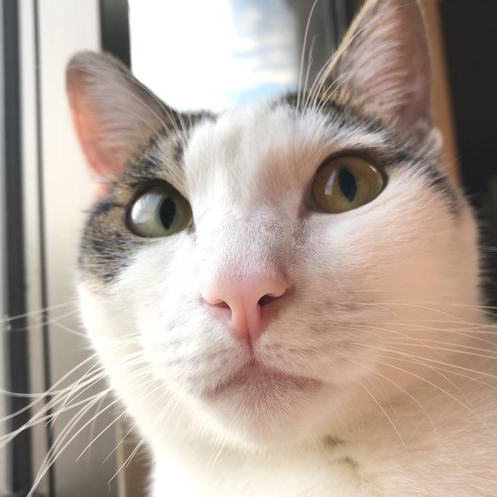 B3701b8b b63d 4531 a493 4e057d610e14 1599946396778