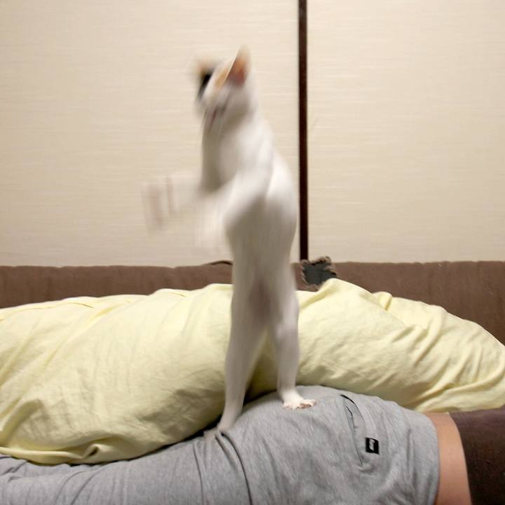 B3703fdb 9d00 4b63 9935 f50124b07682 1563419446204