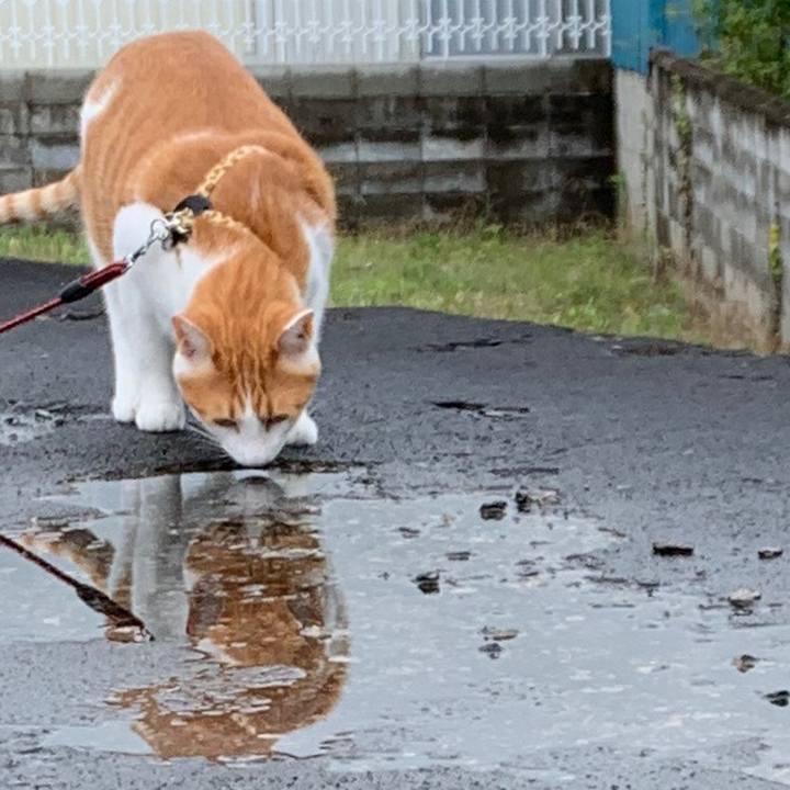 B3705dae 1413 4143 8ecc 25b7f0f166a4 1594952515812