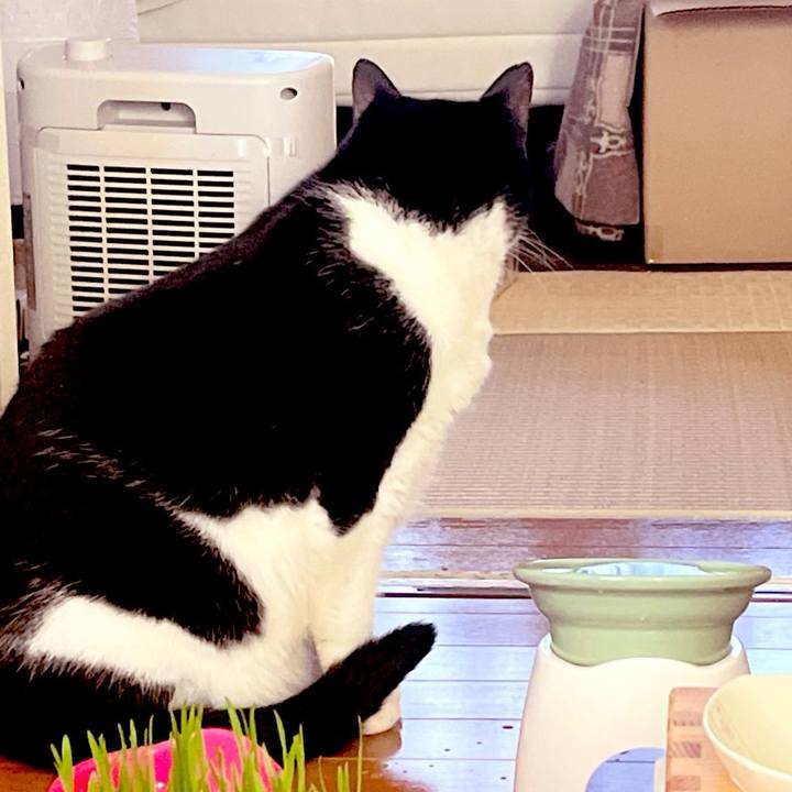 B37067ef 9c55 4501 a3fd 58822ce3a40d 1705190001910