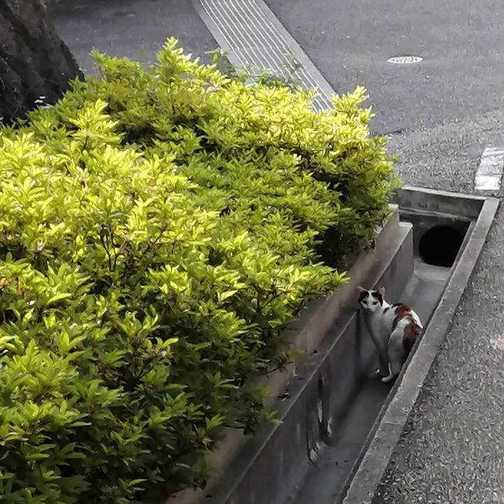 B3708fbf e6c0 4a81 93b9 542a6b6a420e 1623187492004