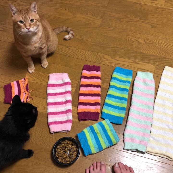 B370981d 43f6 45bd b7e5 950026c67f63 1582713581517