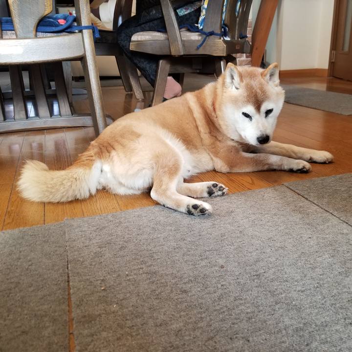 B3709de4 2c44 482a a333 a75b73ace6a9 1740094482332