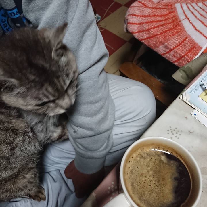 B370a9af 5757 44b1 a92b 5e4110bea822 1592595164685