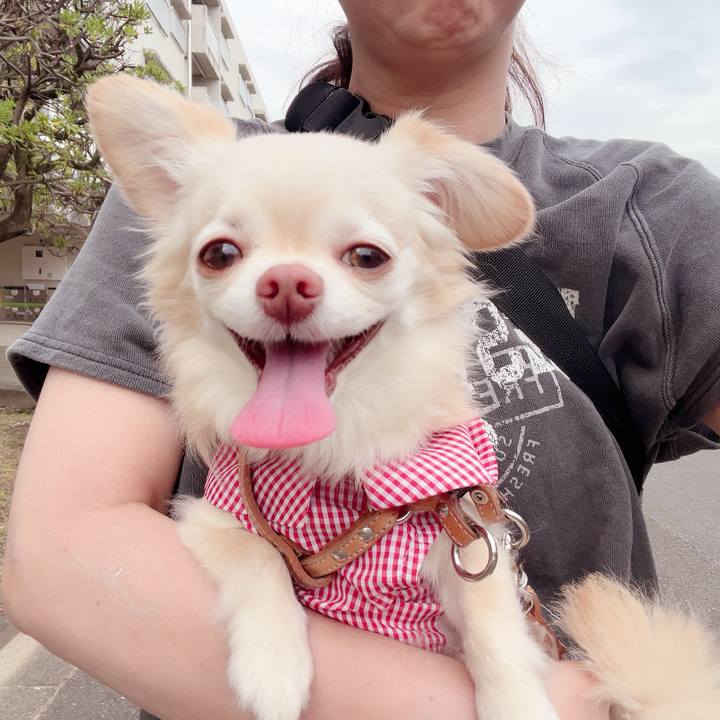 B370ab41 e75d 4dfe 8f9b 63d3f129d097 1719298293252