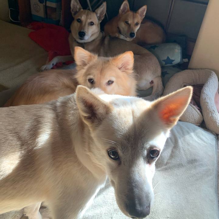 B370acb1 7274 47d1 ab0f aed725912696 1608954946906