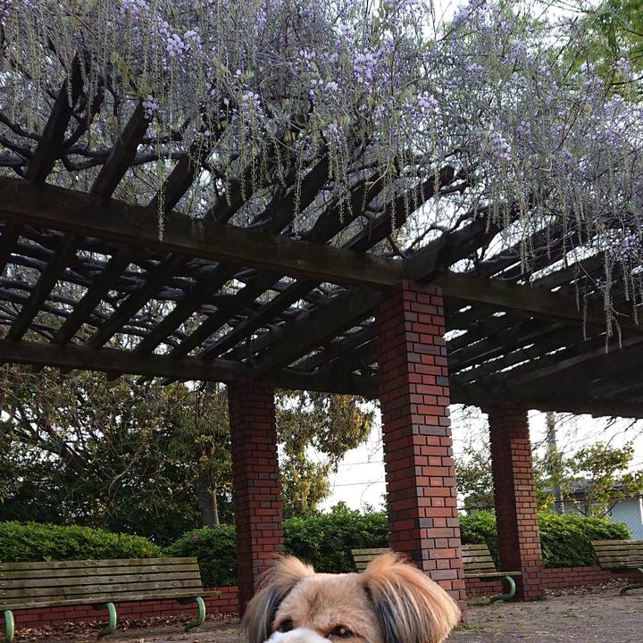 B370c3c6 0ed5 4d2c b258 14446d4b0f92 1555365491731