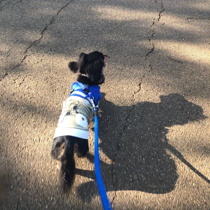 B370c8ab fce4 40f2 a015 673b8d581aea 1582624193195