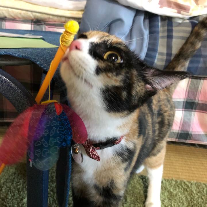 B370dbc0 c40e 435e 8adb 5dcb9948ce26 1556891341287